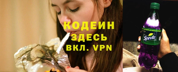 гашик Абаза