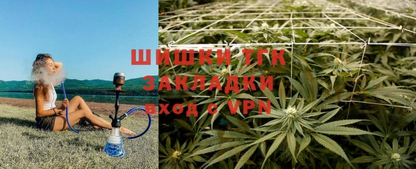 гашик Абаза