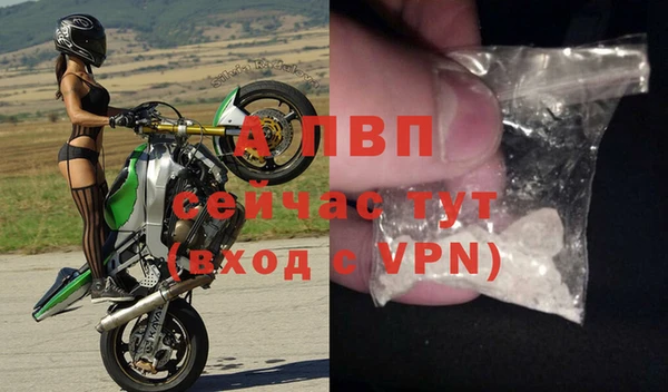 гашик Абаза