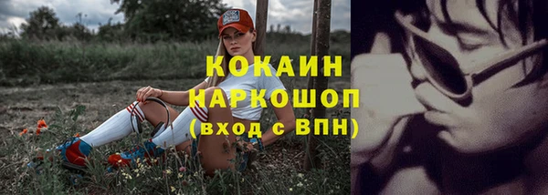 гашик Абаза