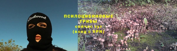 гашик Абаза