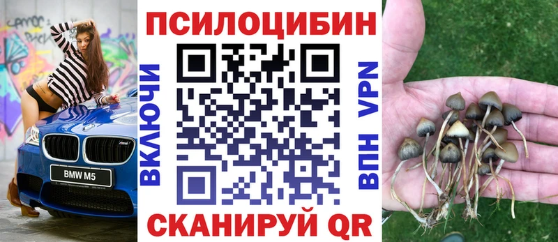 Галлюциногенные грибы GOLDEN TEACHER  Клинцы 