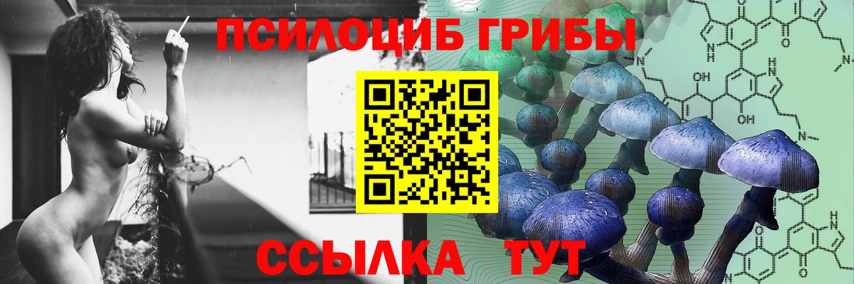 Галлюциногенные грибы ЛСД  наркота  Клинцы  Вход с VPN 