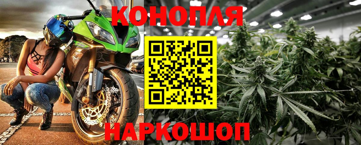 Клинцы  Конопля планчик  Вход с VPN  Марихуана планчик  Каннабис индика 